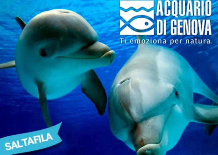 Brignole A 招待所 热那亚